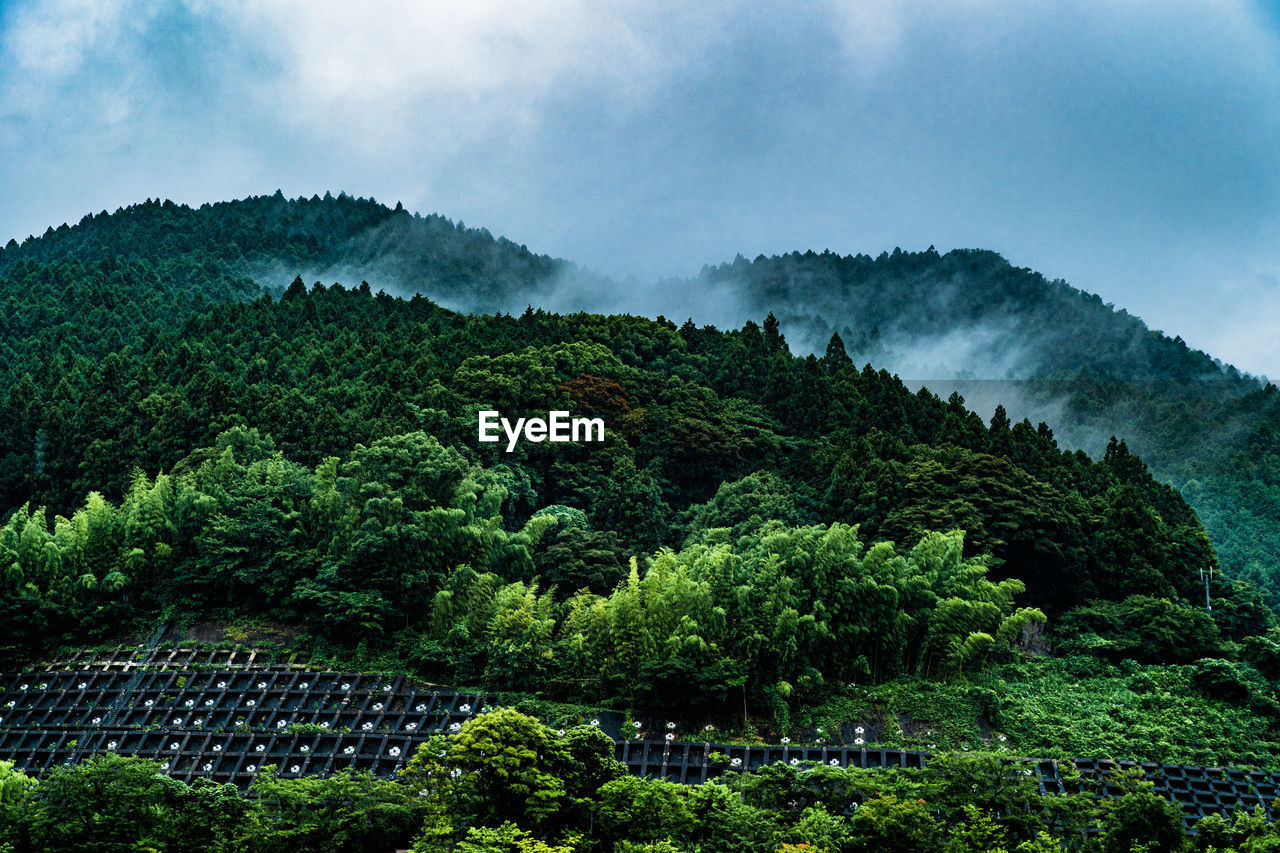 Scenic view of forest hill against sky on a rainy day in fukuoka, japan