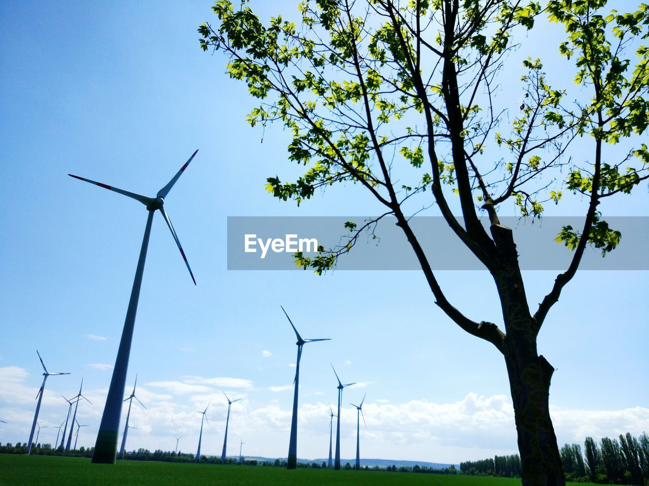 LOW ANGLE VIEW OF WINDMILLS AGAINST SKY