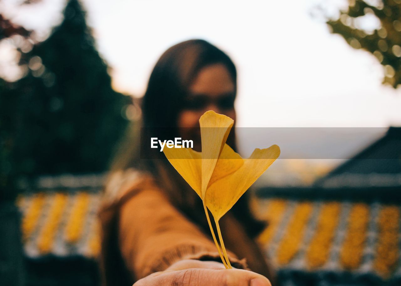 CLOSE-UP OF HAND HOLDING YELLOW FLOWERS