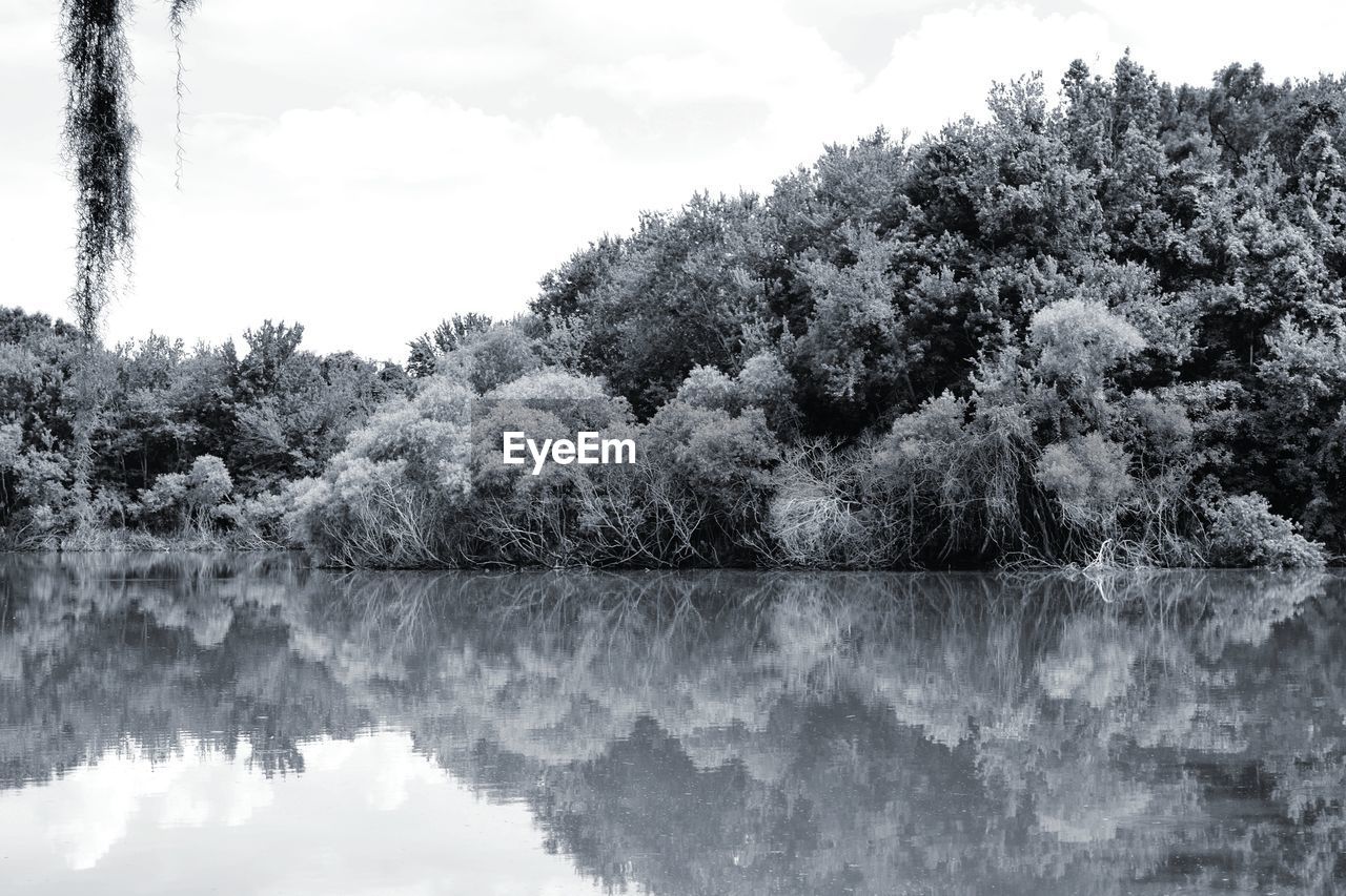 REFLECTION OF TREES IN LAKE AGAINST SKY