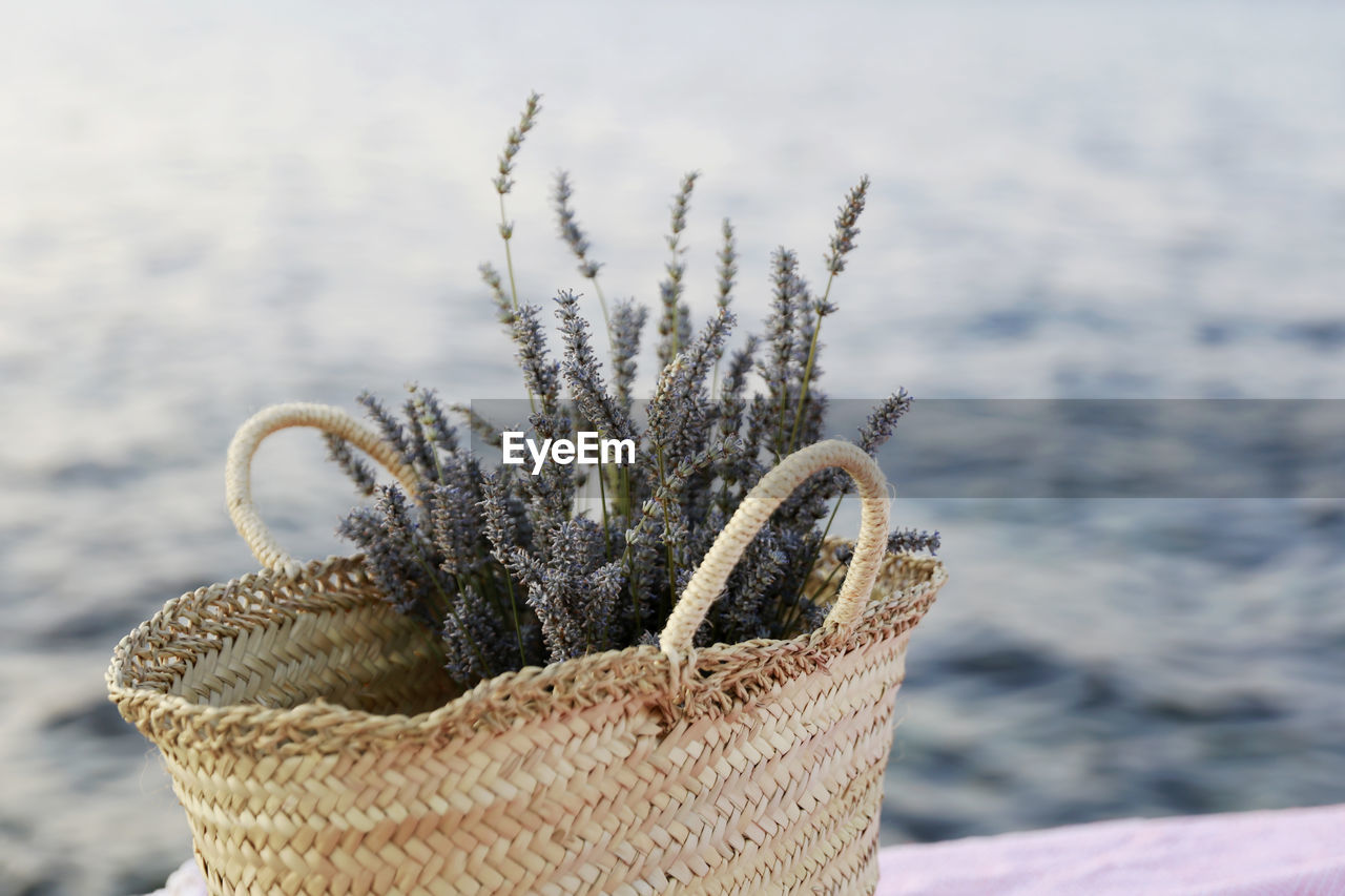 Lavander basket at picnic