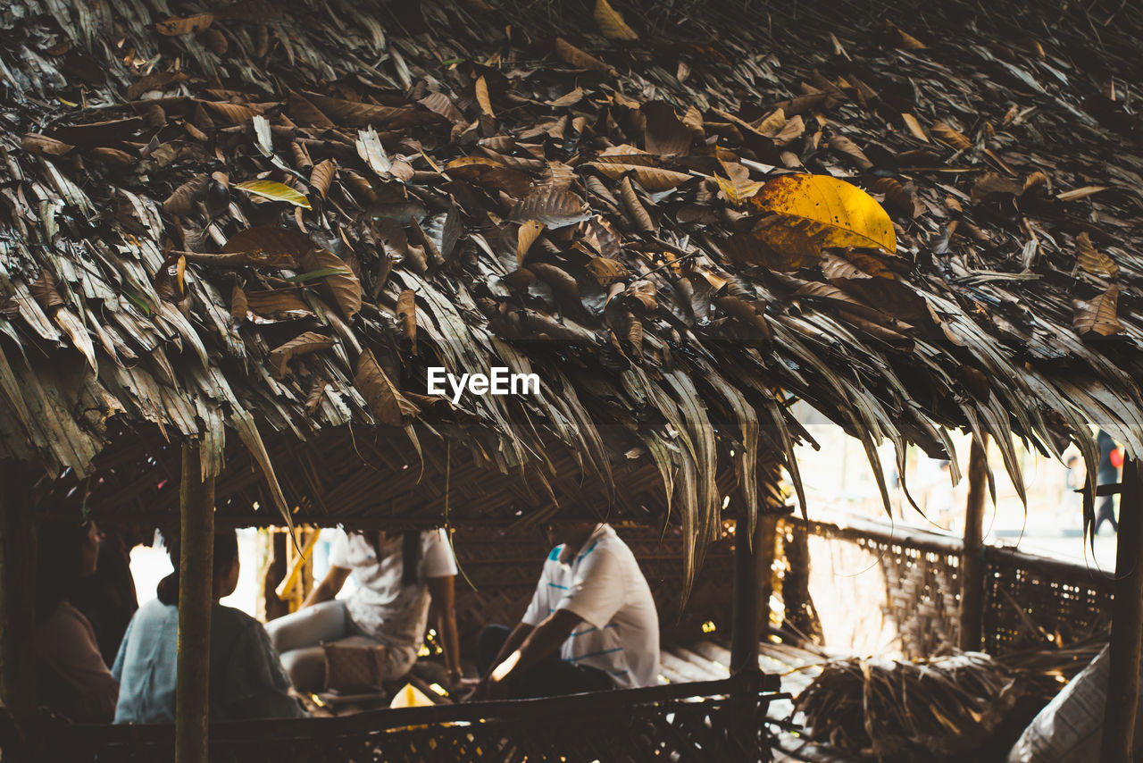 People sitting in thatched roof hut