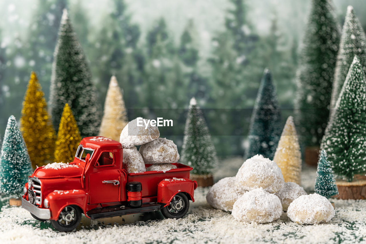 TOY CAR ON SNOW COVERED LANDSCAPE