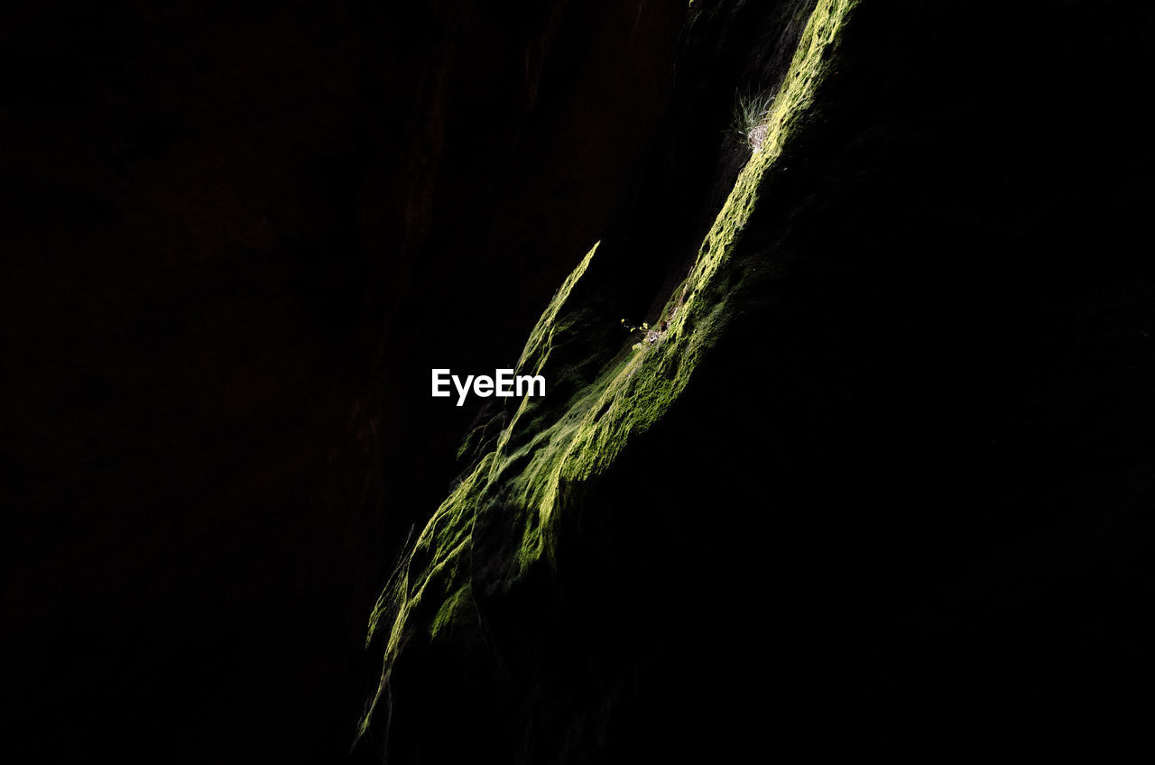 CLOSE-UP OF WATER DROPS AGAINST BLACK BACKGROUND