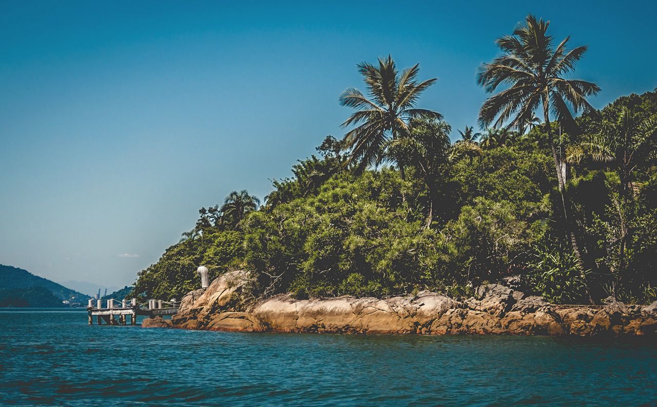 Scenic view of tropical beach