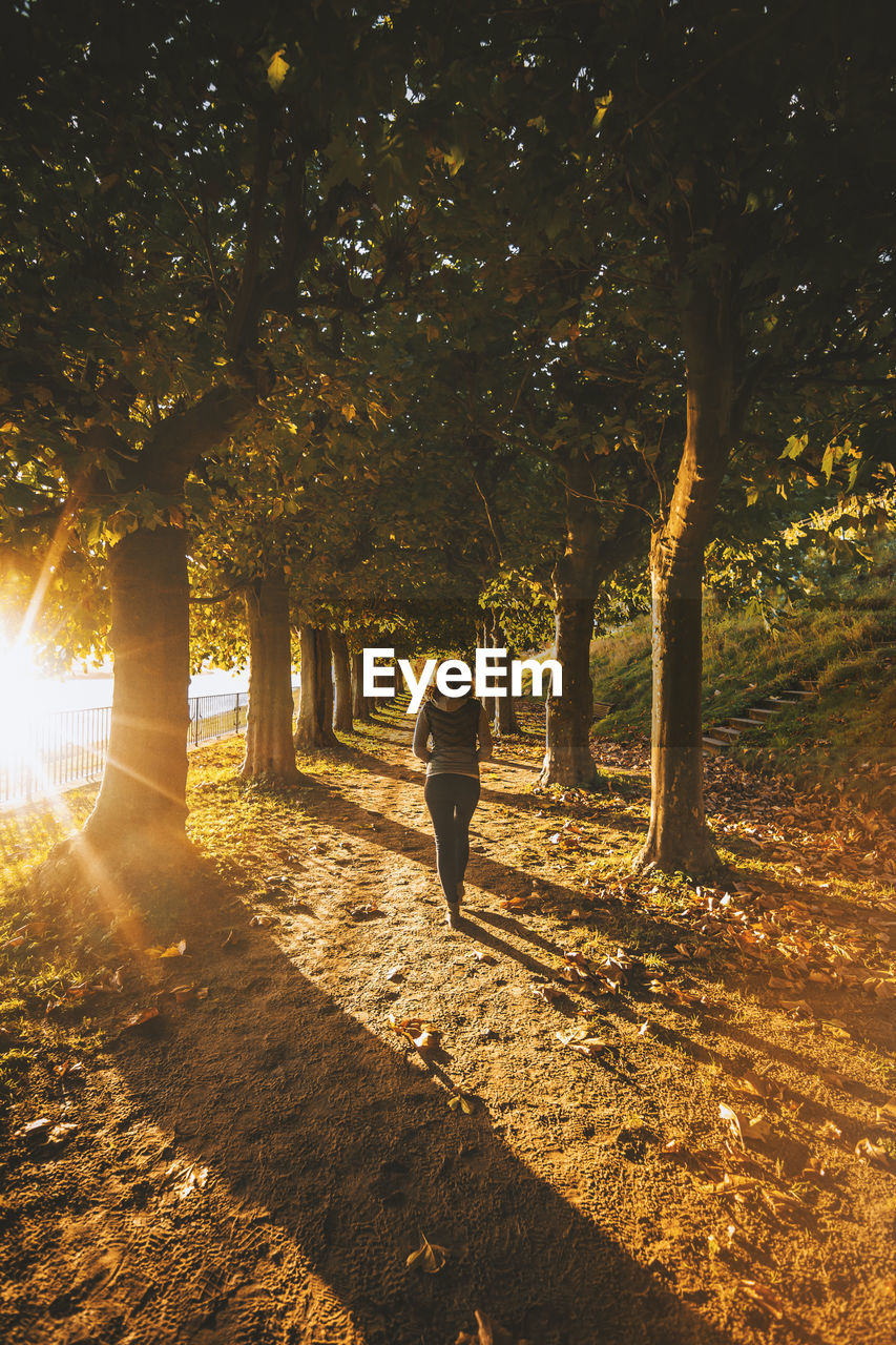 Rear view of woman walking on pathway amidst trees