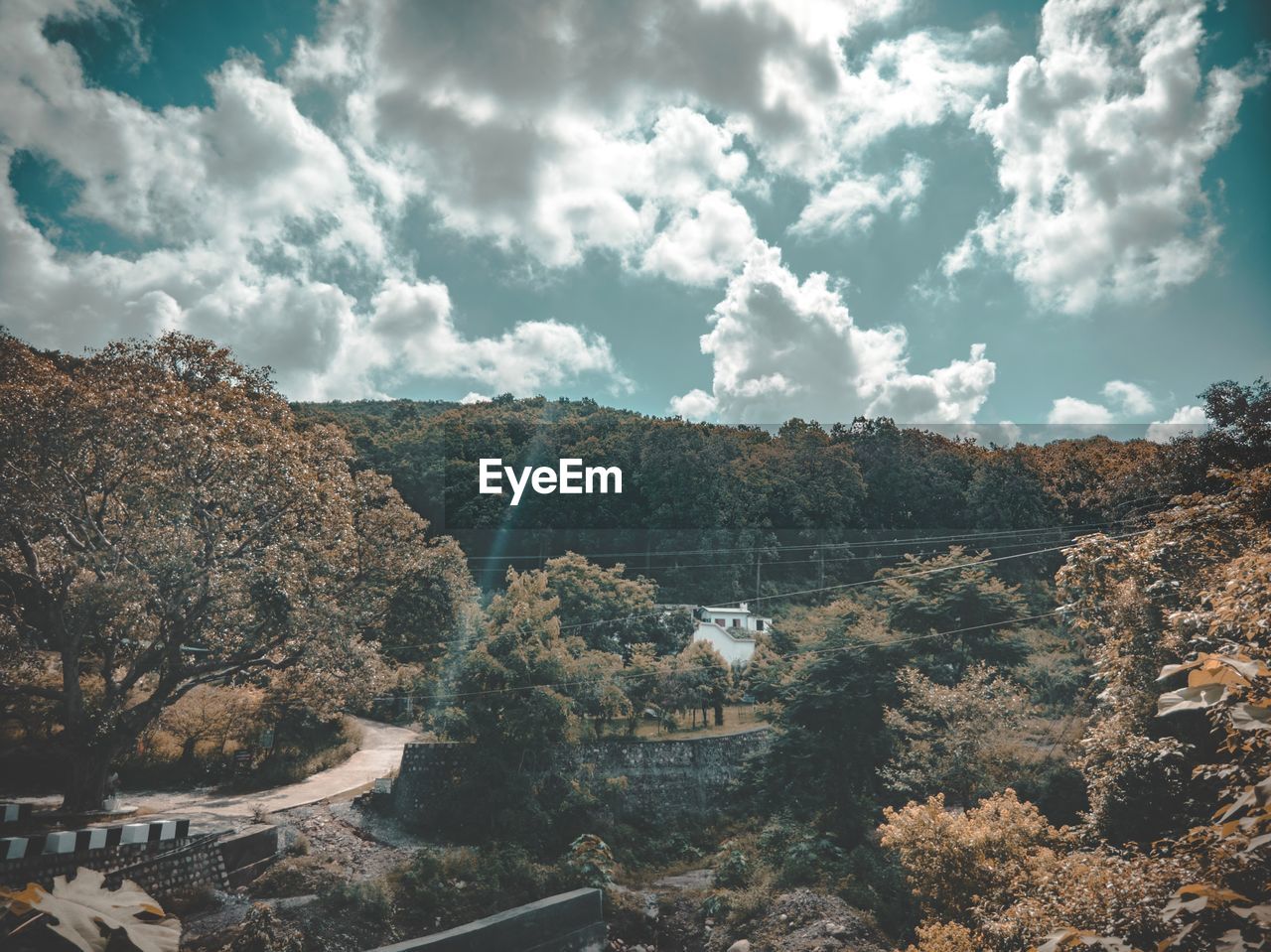 HIGH ANGLE VIEW OF TOWNSCAPE BY TREES AGAINST SKY