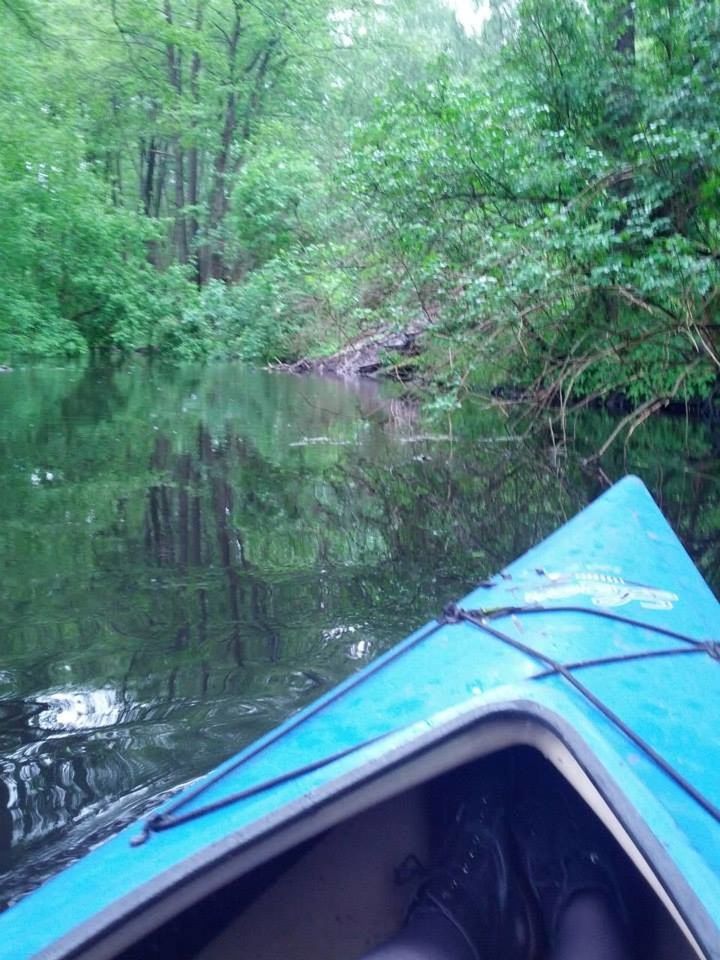 Kayaking excursion through forest