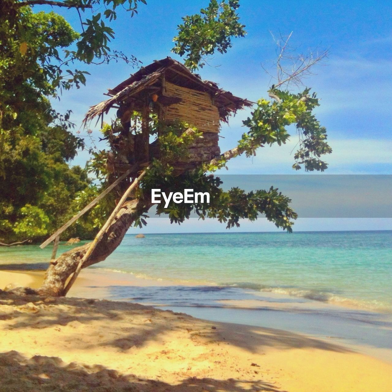 Tree house on beach against sky in cenderawasih bay