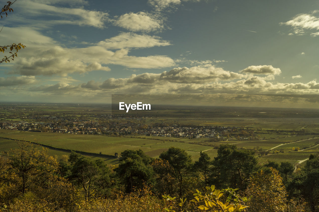 SCENIC VIEW OF GREEN LANDSCAPE AGAINST SKY
