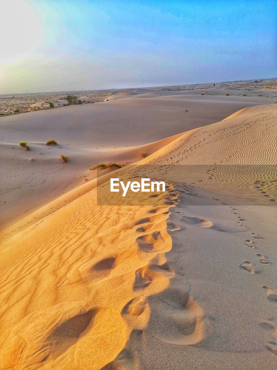 FOOTPRINTS ON SAND DUNE IN DESERT