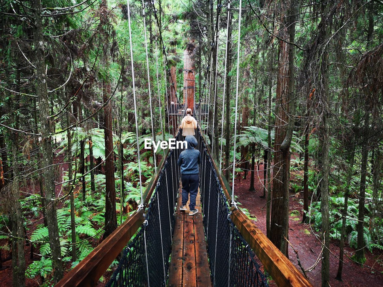 Rear view of siblings walking on footbridge in forest