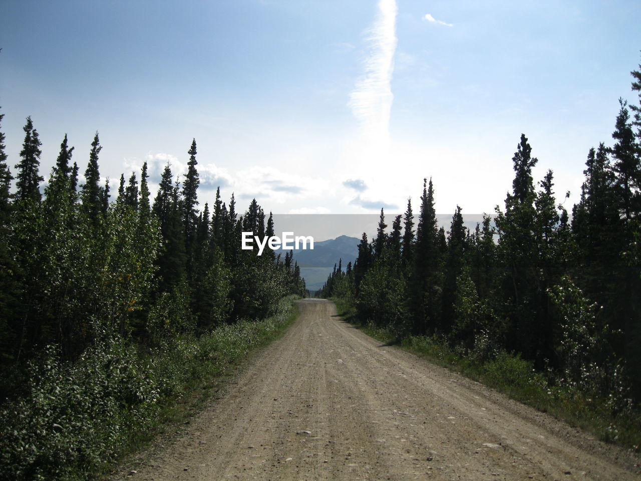 Dirt road passing through landscape