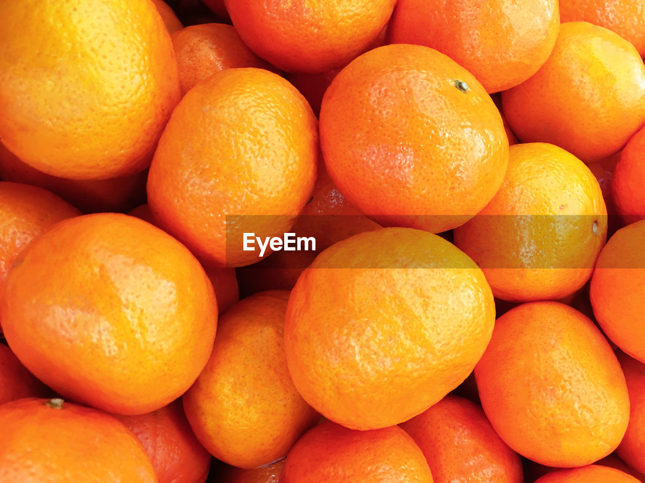 Close up photo of oranges