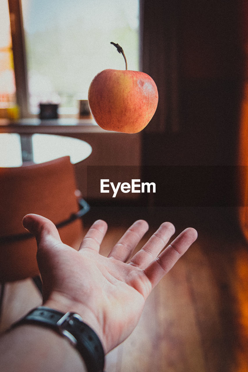 CLOSE-UP OF HAND HOLDING ORANGE