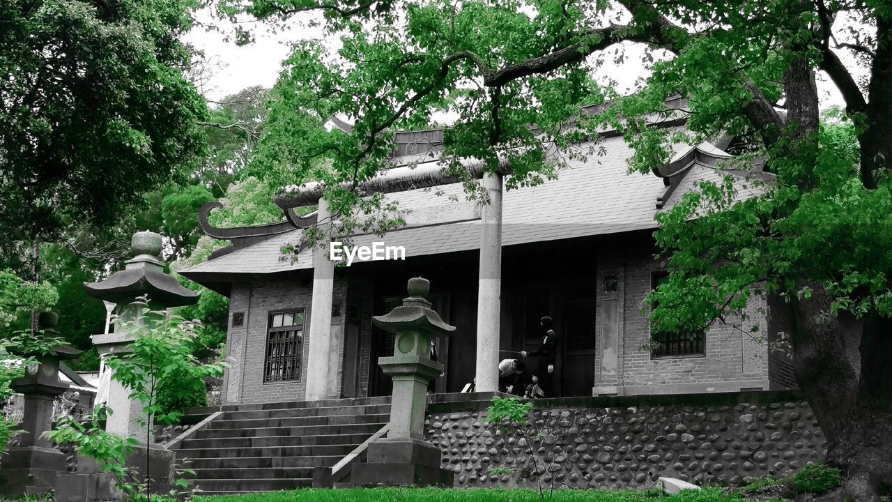 VIEW OF BUILDING WITH TREES IN FOREGROUND