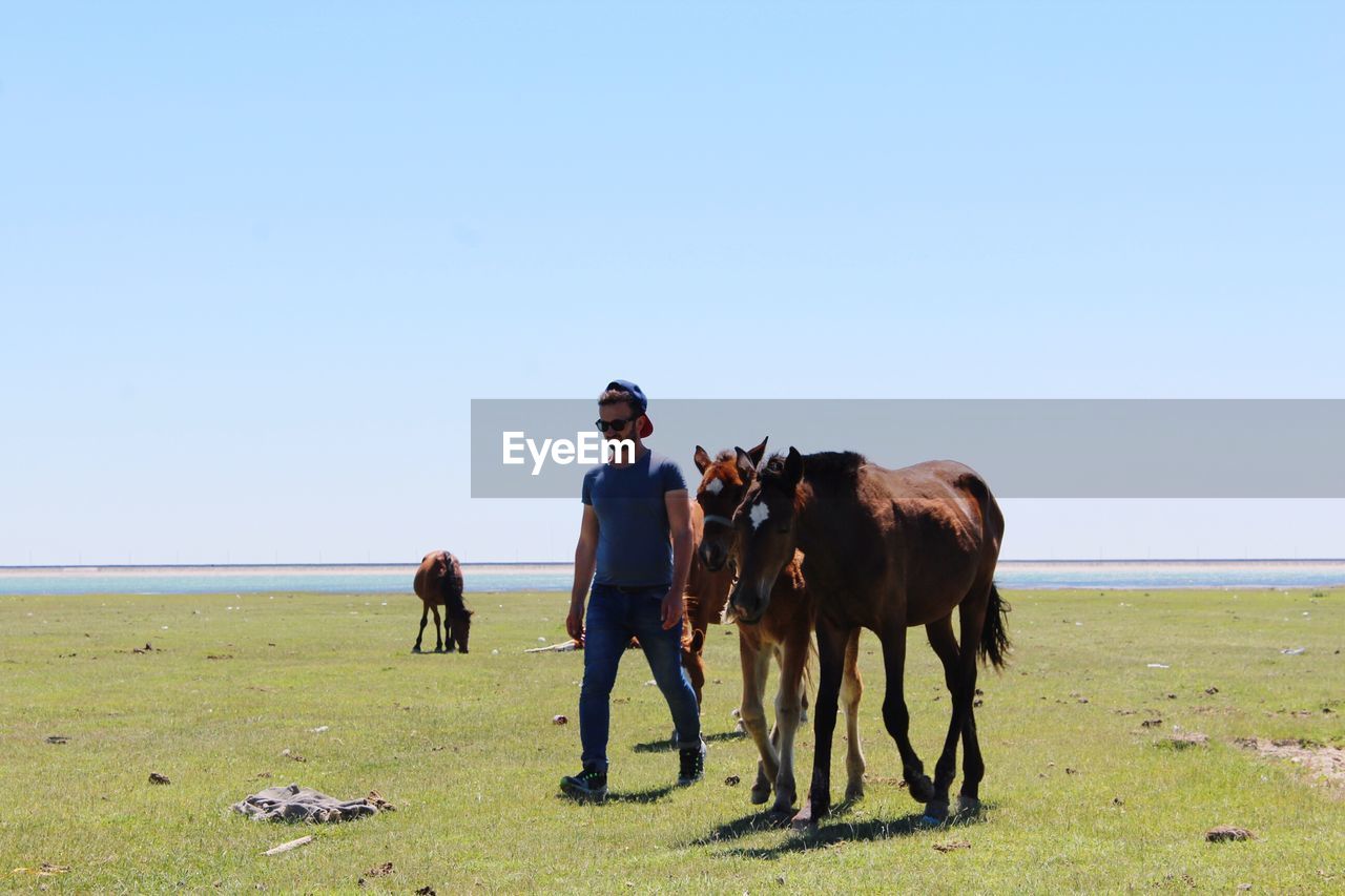 Mid adult man with horses walking on grassy field against clear sky during sunny day