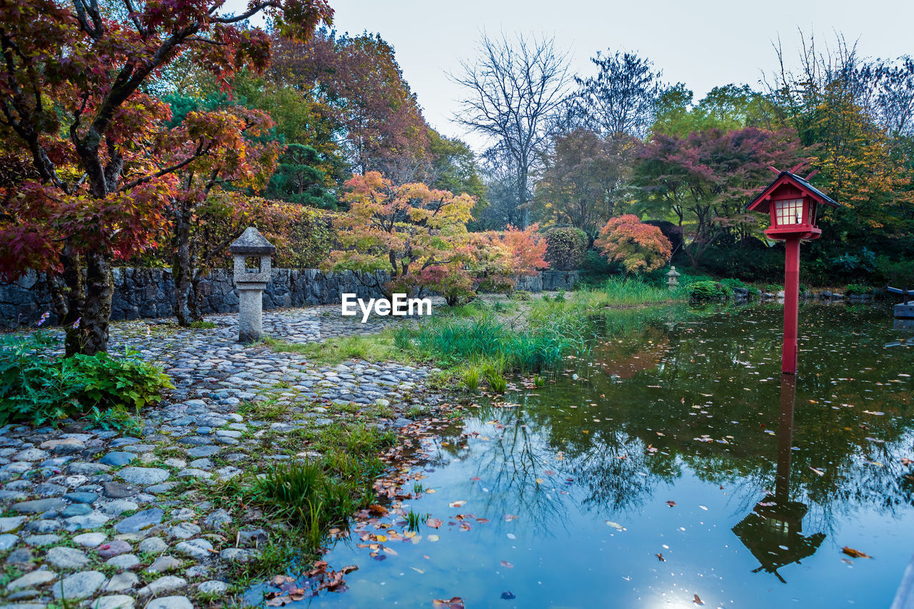 AUTUMN LEAVES ON LAKE