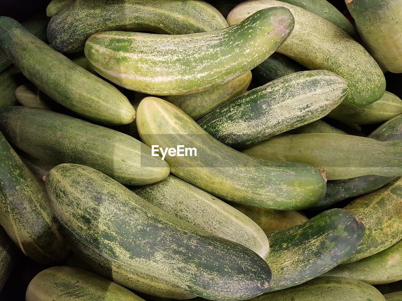 Full frame shot of cucumbers