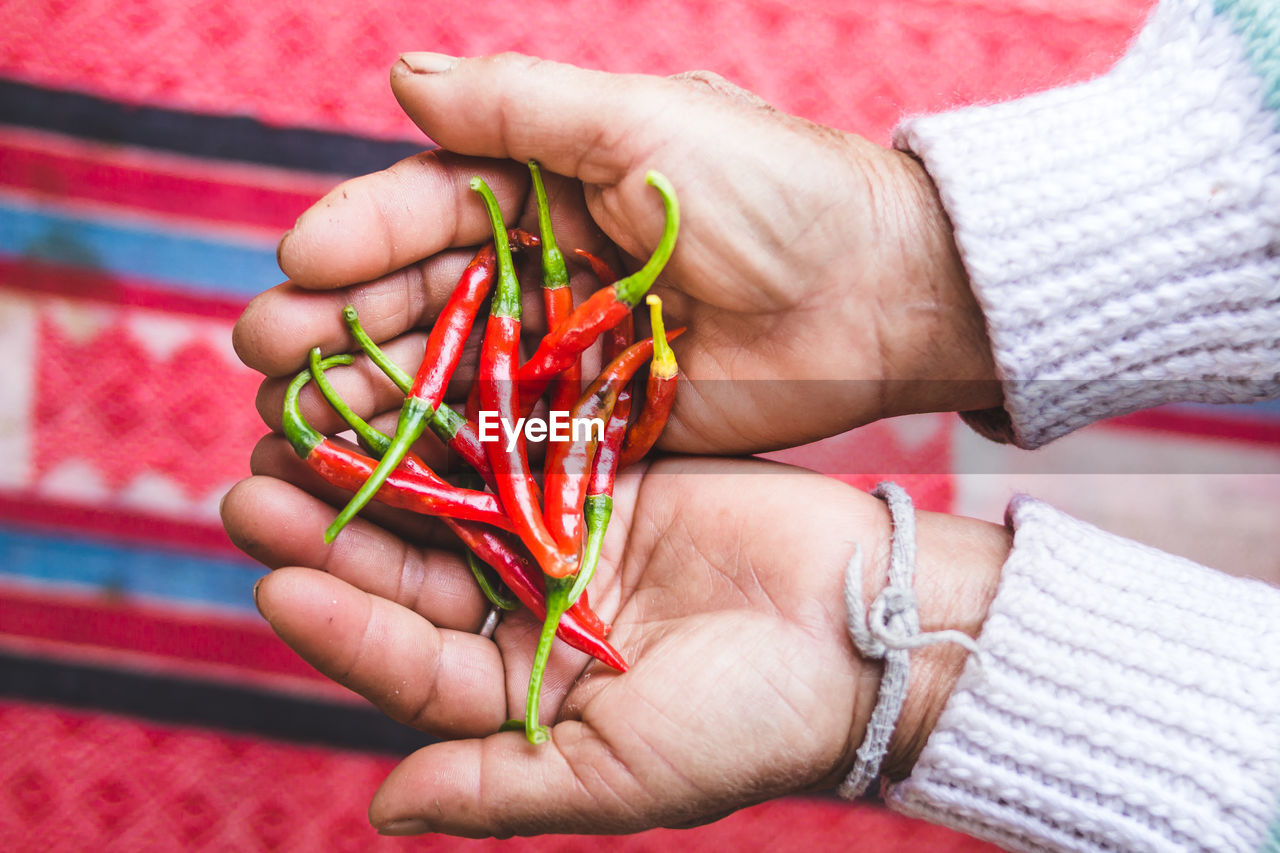 Cropped hands holding red chili peppers