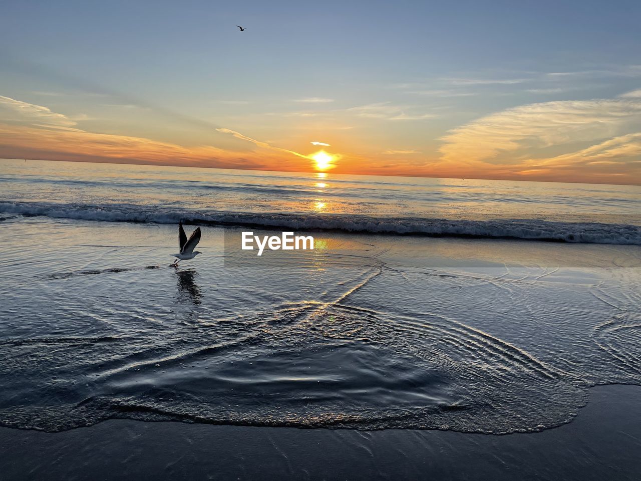 sky, sunset, water, sea, ocean, horizon, shore, beauty in nature, scenics - nature, nature, wave, beach, land, dawn, reflection, tranquility, one person, horizon over water, tranquil scene, cloud, coast, sun, sand, silhouette, sunlight, evening, idyllic, orange color, outdoors, vacation, environment, non-urban scene, motion, leisure activity, wind wave, holiday, trip, landscape, full length, travel destinations, lifestyles, sports, men, travel, animal, body of water, seascape