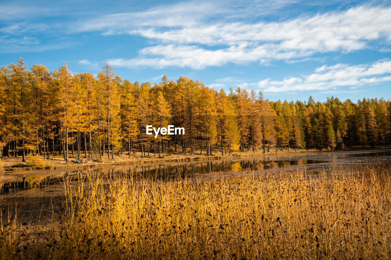 Autumn colors and lake reflection