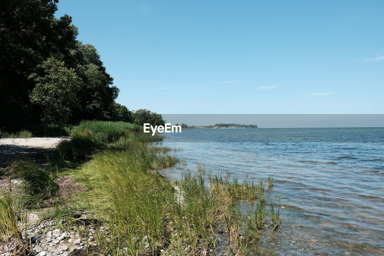 SCENIC VIEW OF SEA SHORE AGAINST SKY