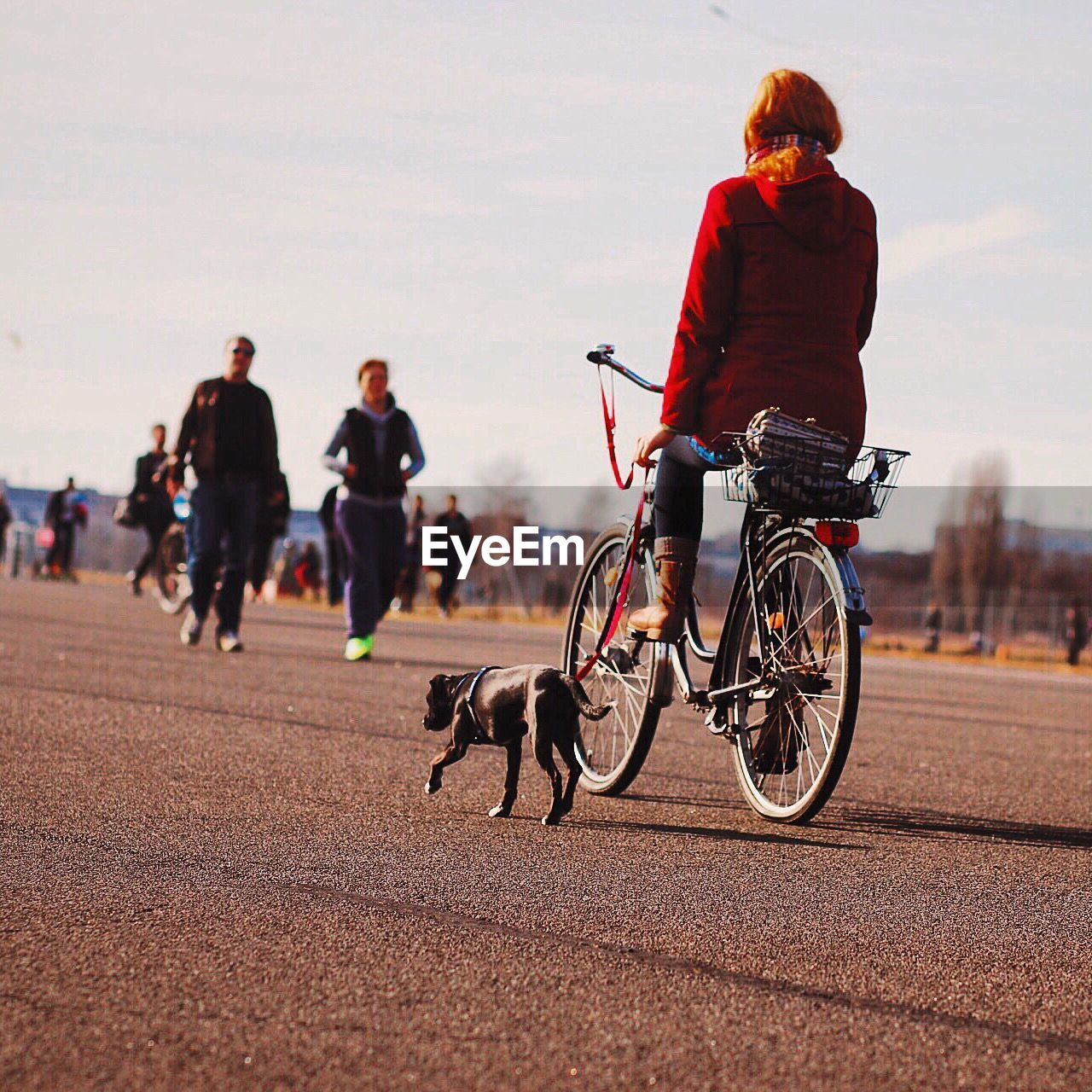 Rear view of women cycling with dog on leashes