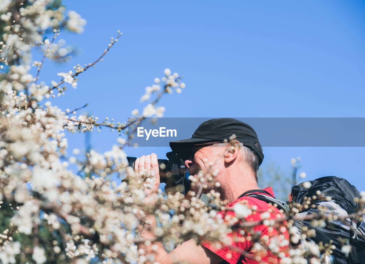 Man photographing by cherry blossom tree