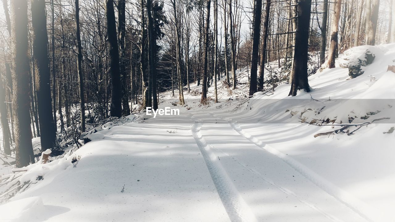 SCENIC VIEW OF SNOW COVERED LAND