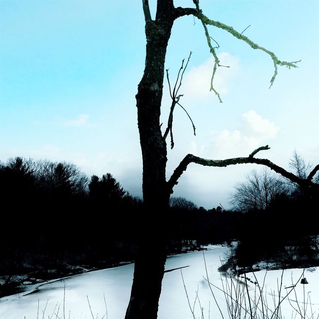 SNOW COVERED LANDSCAPE