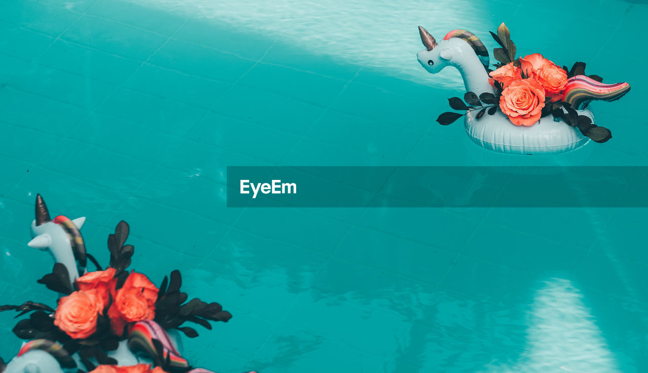 HIGH ANGLE VIEW OF SWIMMING IN SEA