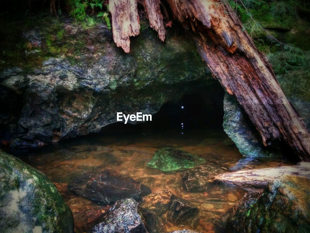 Water collected amidst rocks in forest