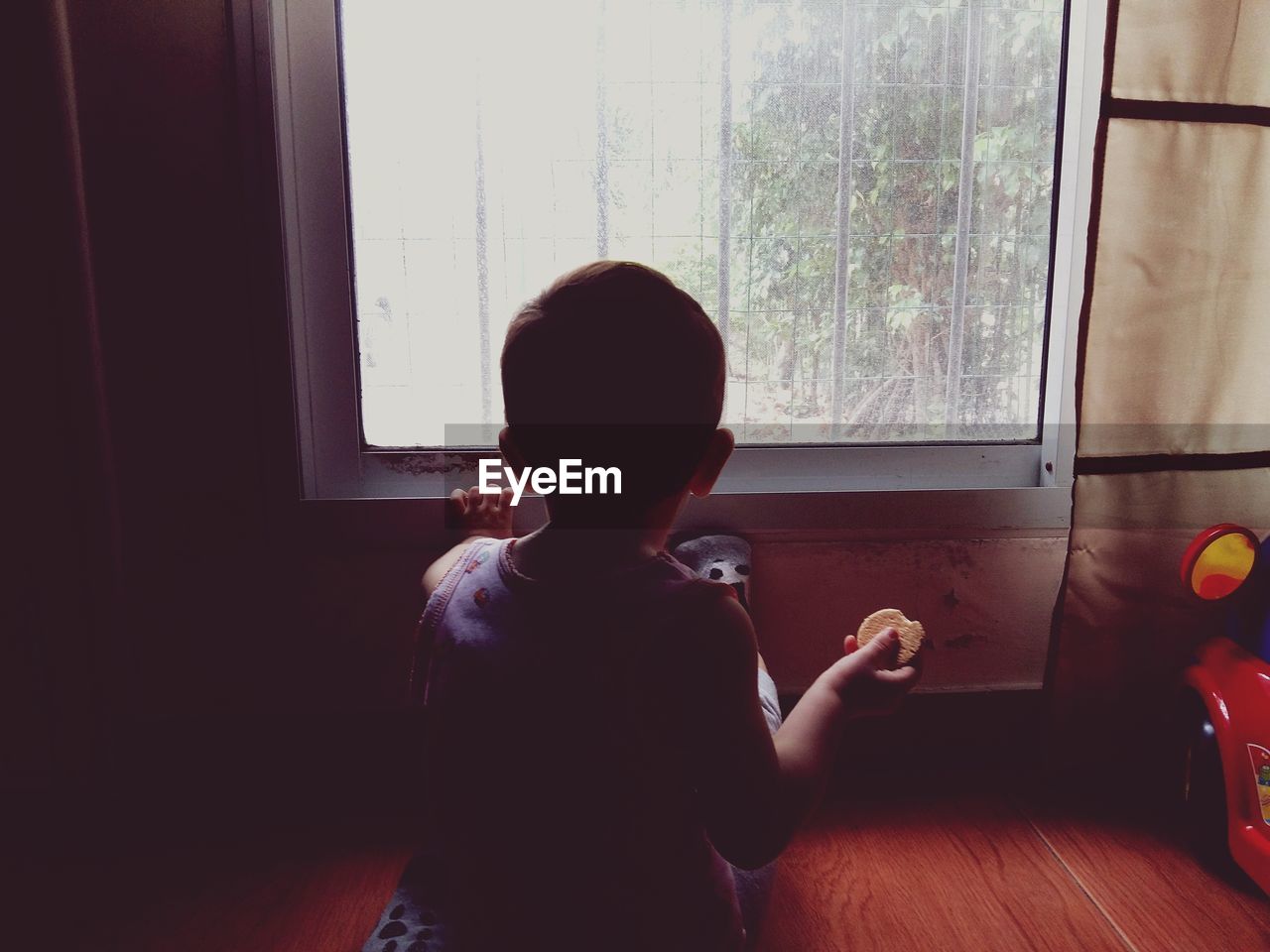 Rear view of boy looking through window while sitting at home