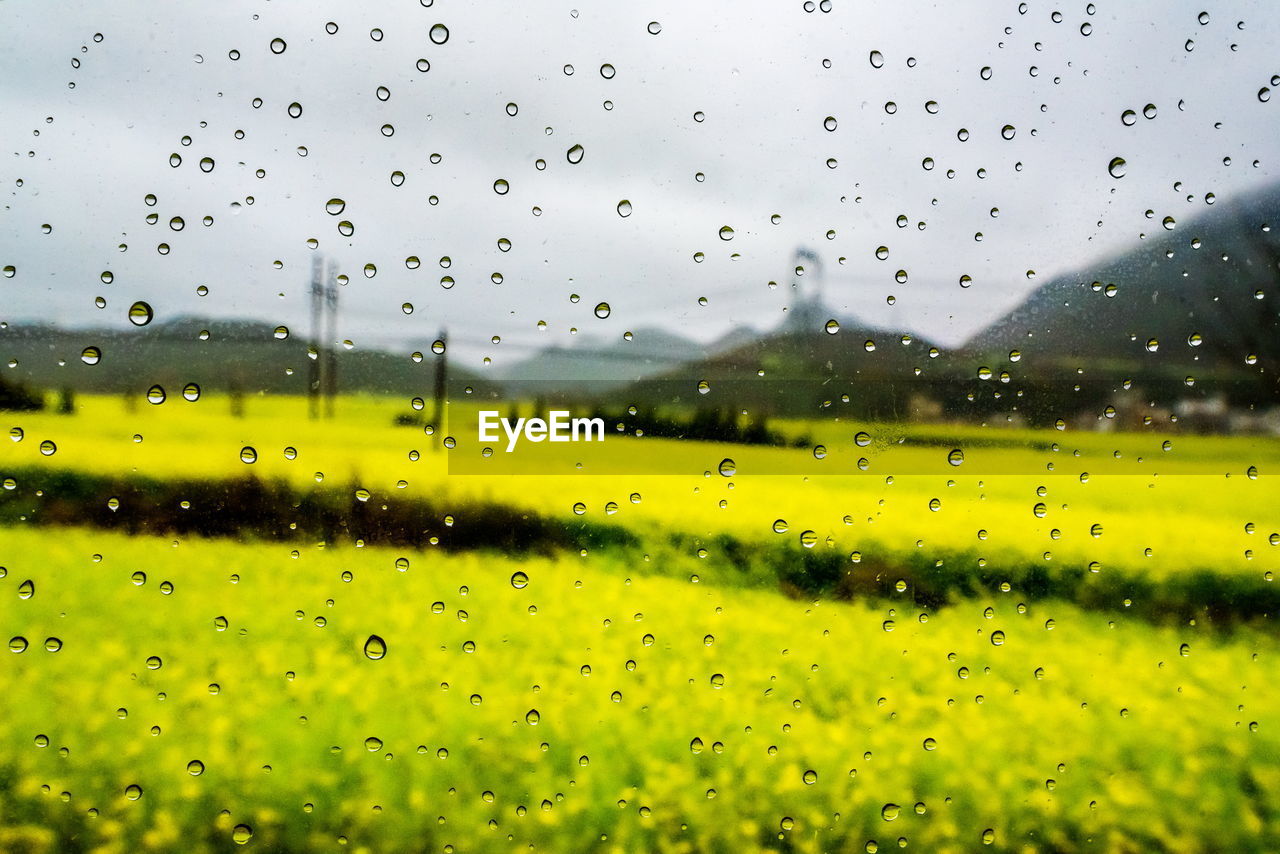 RAIN DROPS ON GLASS WINDOW