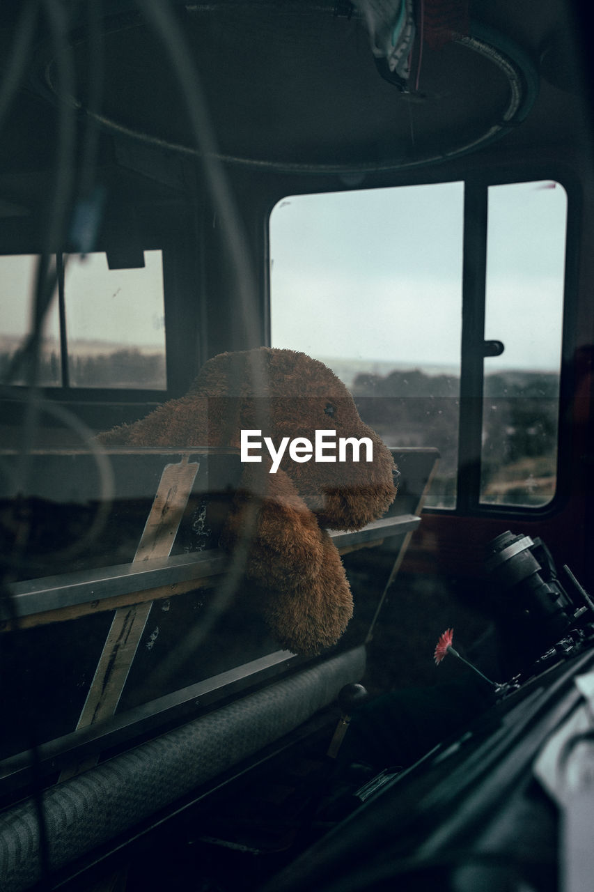 VIEW OF HORSE SEEN THROUGH CAR WINDOW