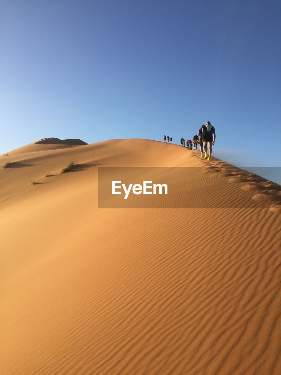 People walking on sand dune in desert against clear sky