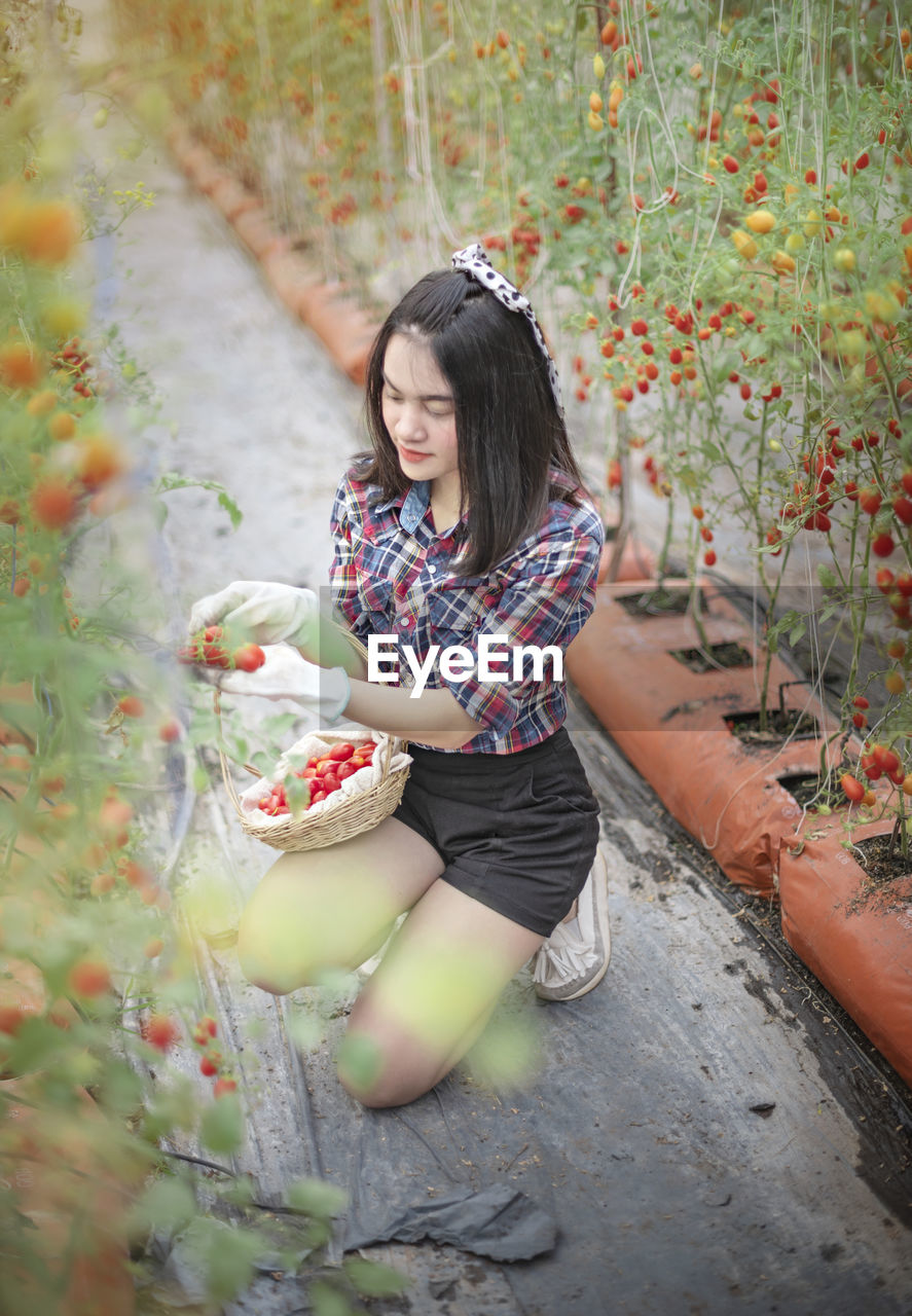 Full length of woman sitting on plant