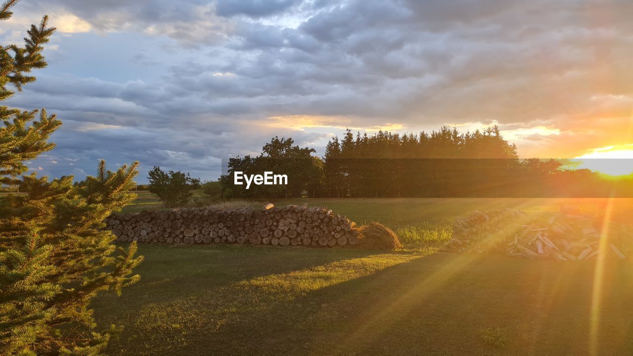 sky, morning, sunlight, nature, landscape, cloud, plant, environment, tree, hill, land, sun, sunrise, dawn, scenics - nature, rural scene, beauty in nature, horizon, sunbeam, field, autumn, agriculture, no people, tranquility, rural area, lens flare, road, outdoors, tranquil scene, grass, forest, travel, summer, non-urban scene, twilight, idyllic, dramatic sky, cloudscape, farm, architecture, travel destinations, fog, back lit, leaf, transportation