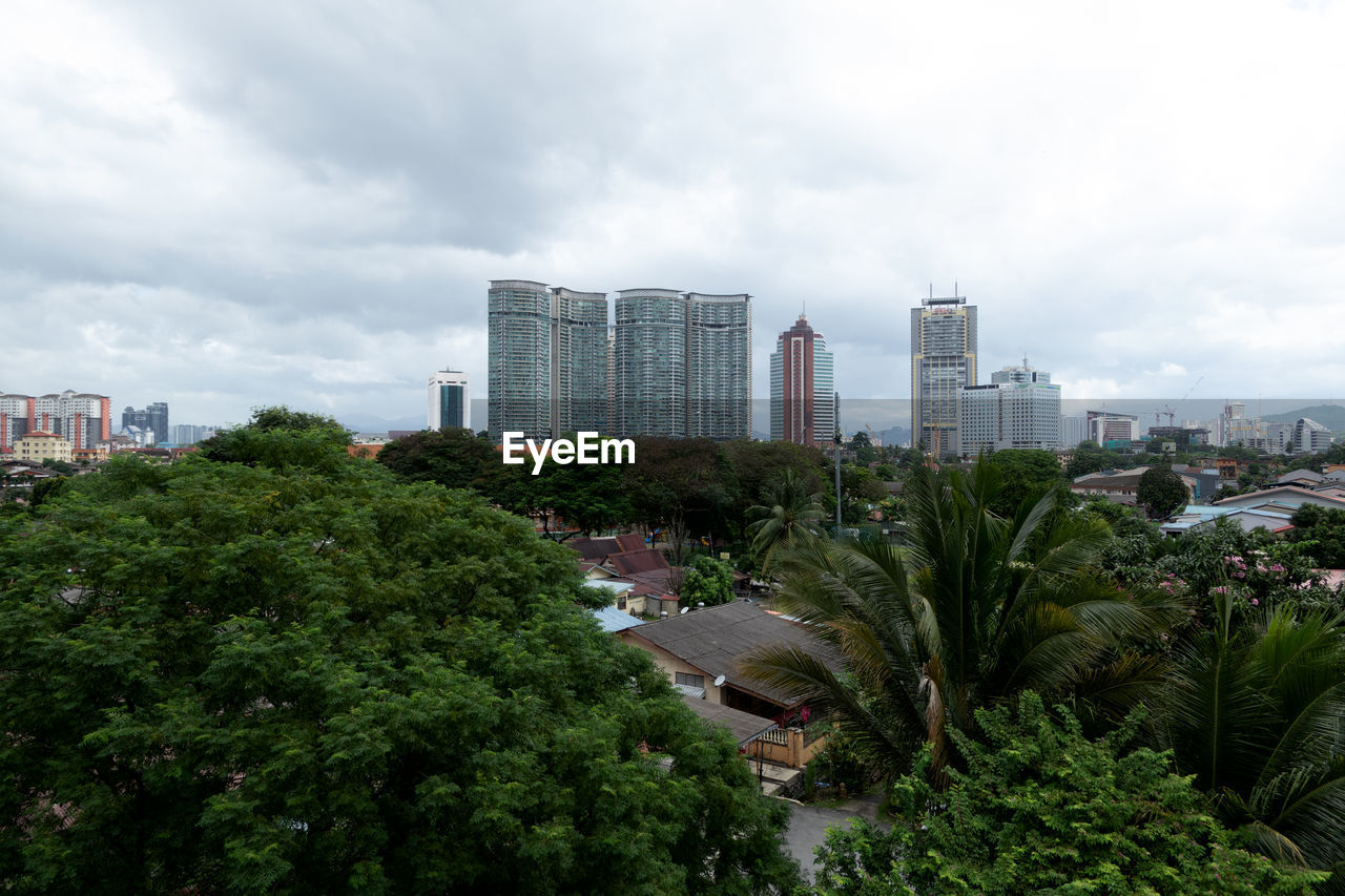 Trees and buildings in city against sky