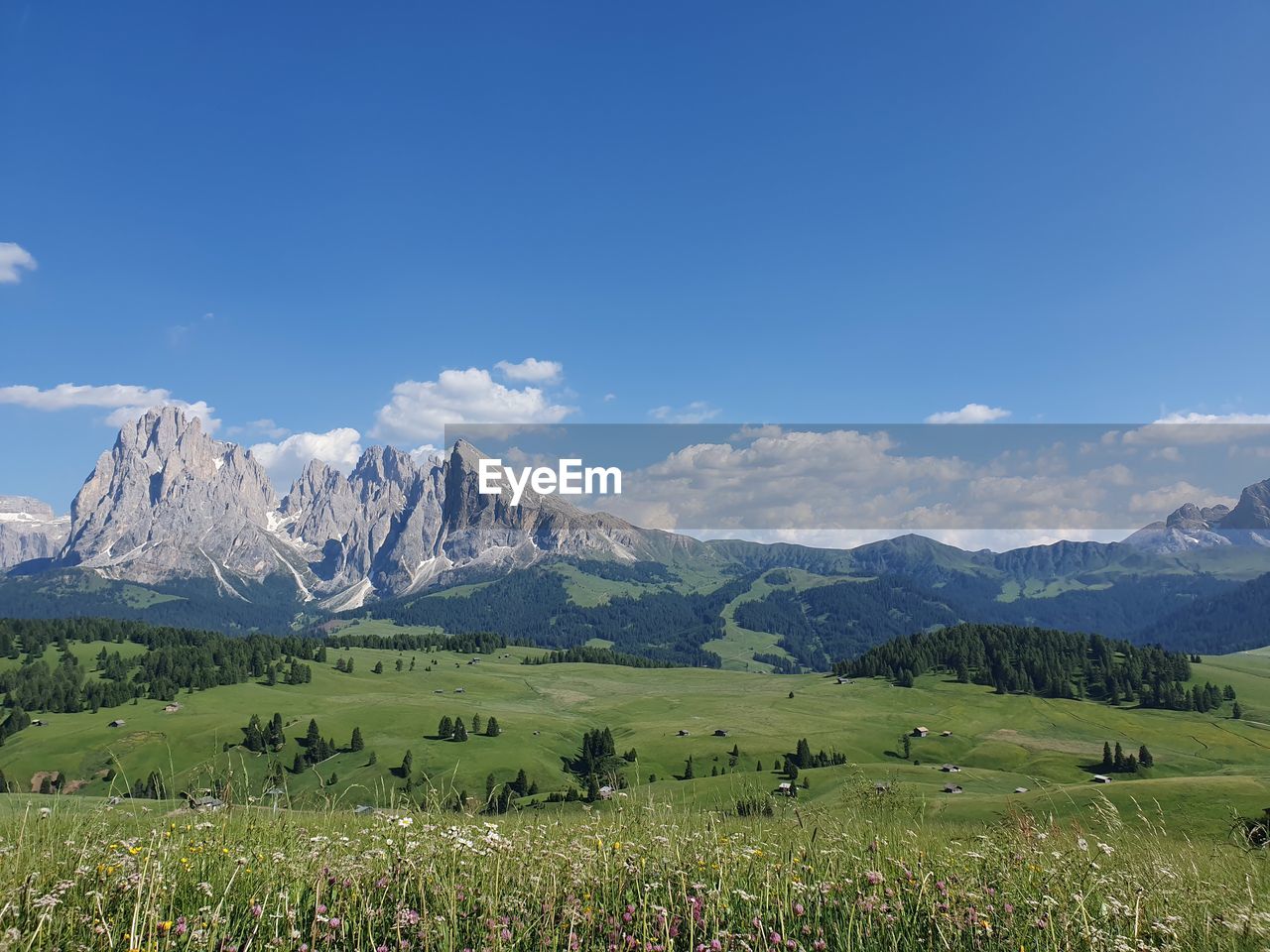 scenic view of landscape against clear blue sky