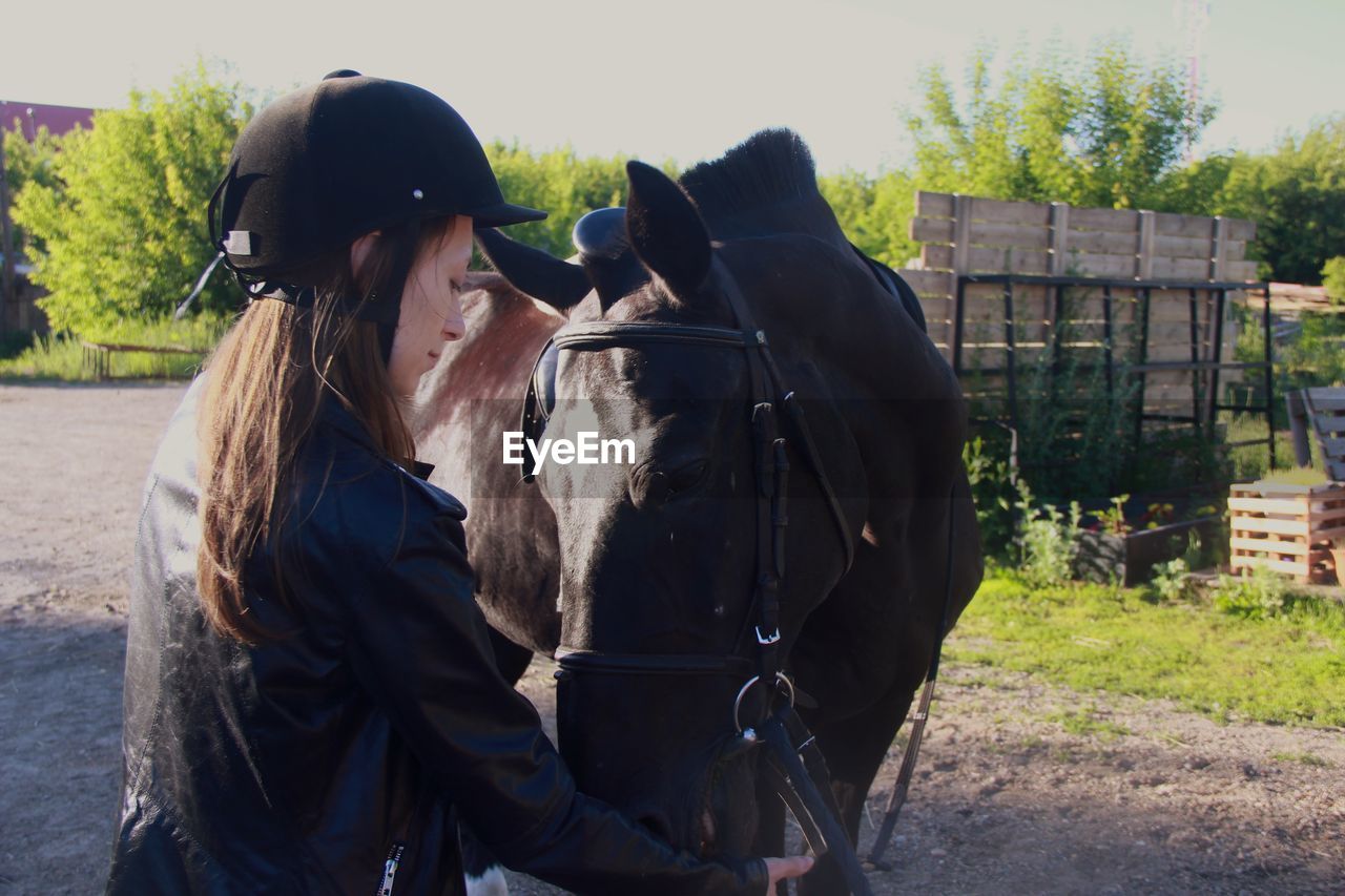 Rear view of women jockey feeding black horse at the ranch 