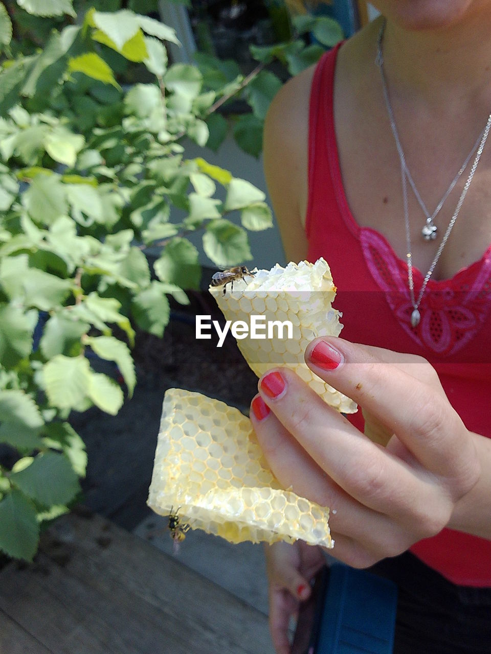 Midsection of woman holding honey combs