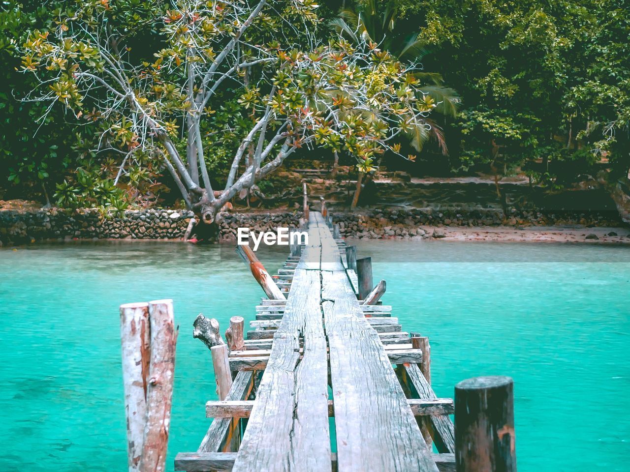 Scenic view of sea against trees