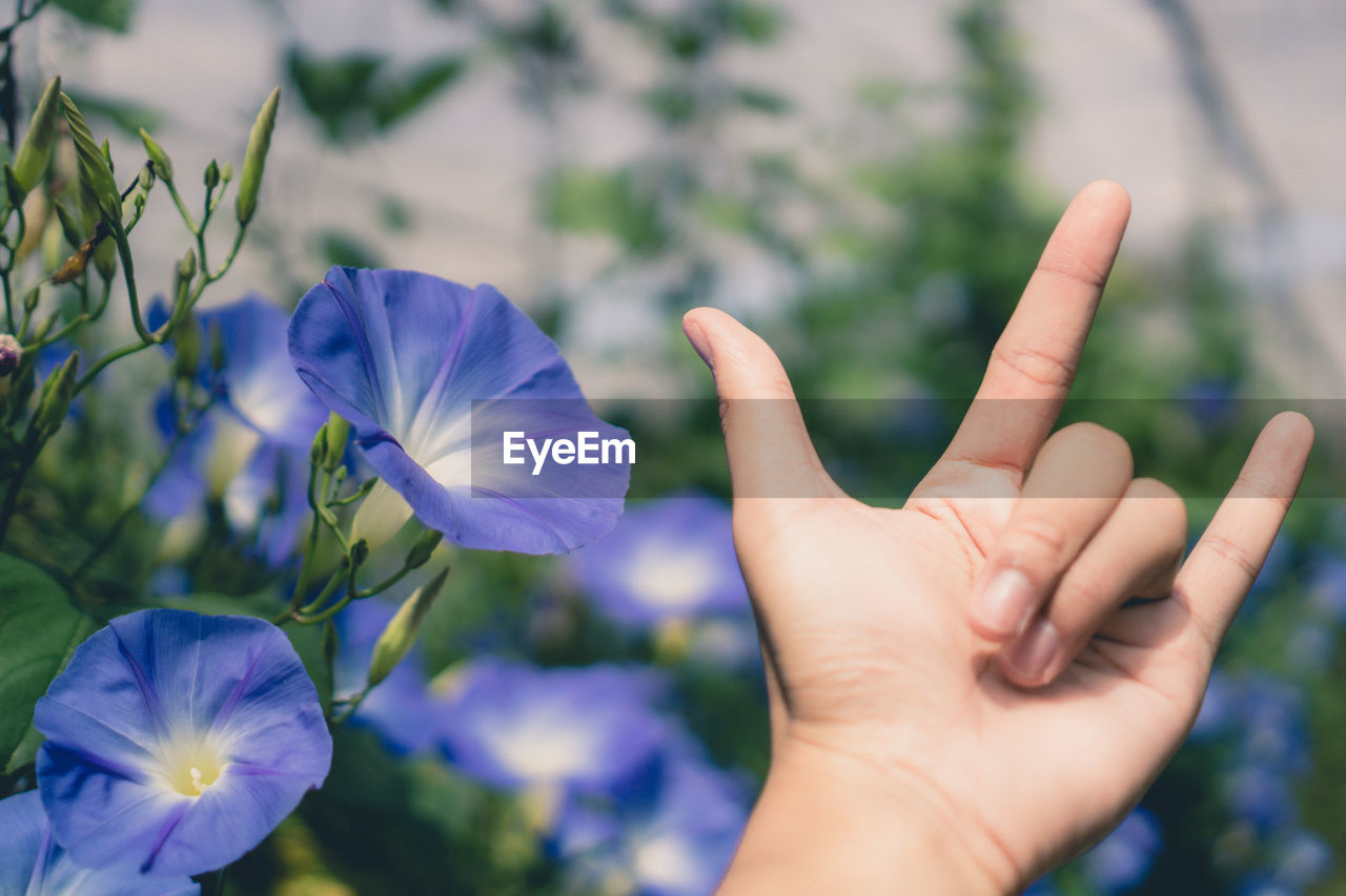 Cropped hand of woman gesturing horn sign by purple flowering plants