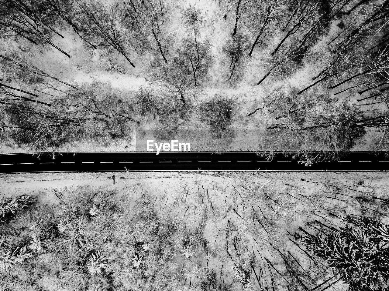 High angle view of a road amidst snowy trees