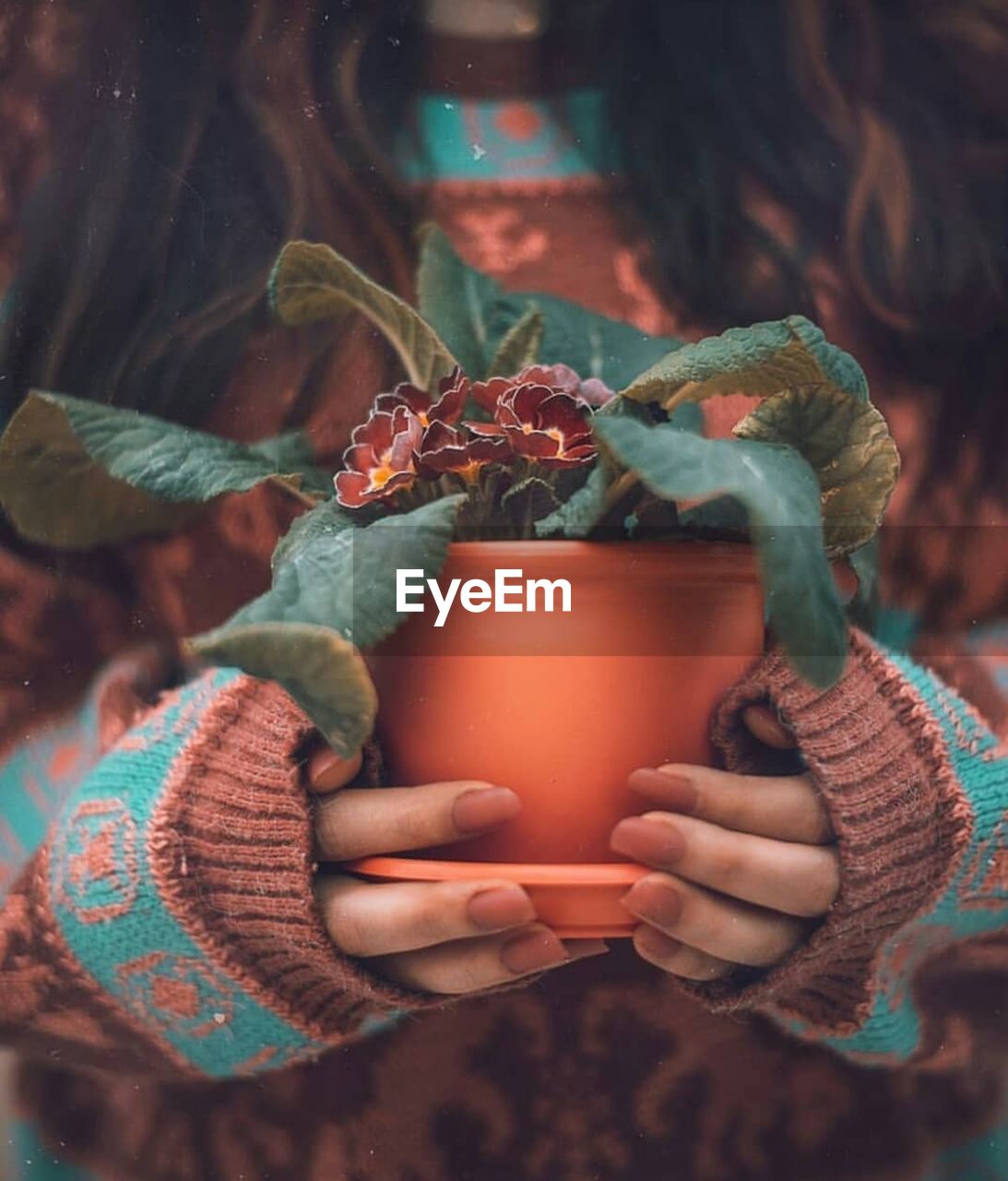 Midsection of woman holding potted plant