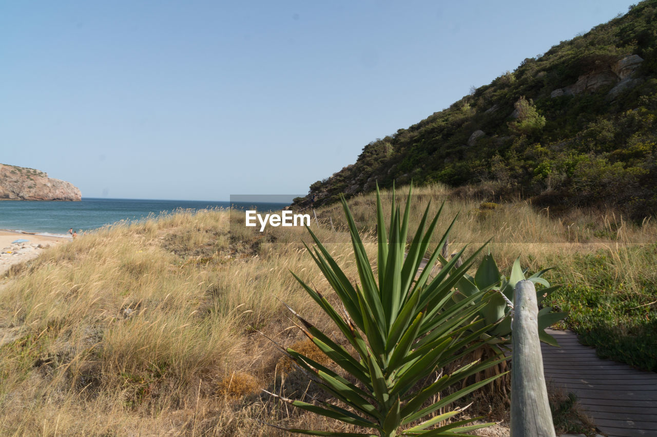 Scenic view of sea against clear sky