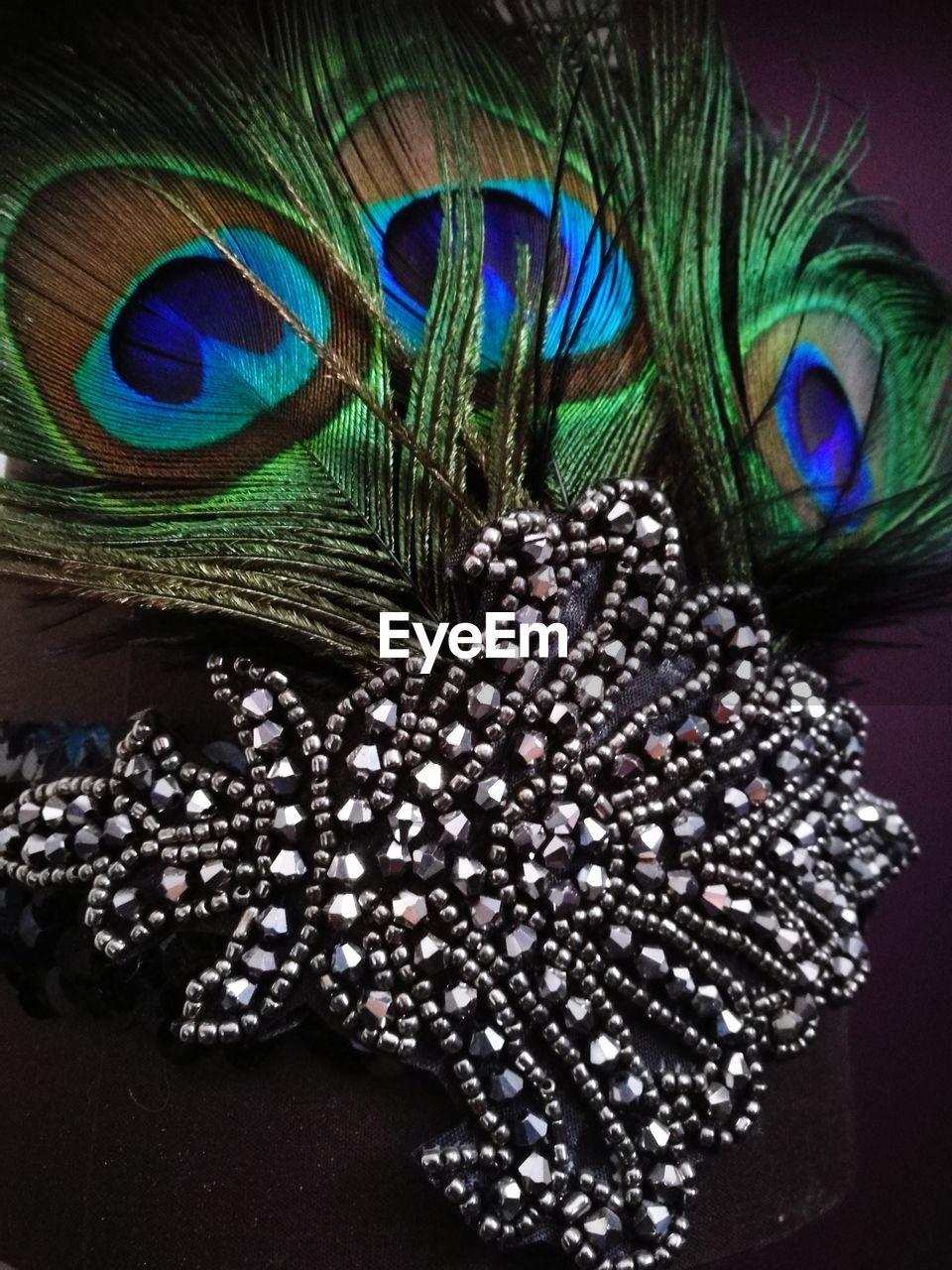CLOSE-UP OF MULTI COLORED FEATHER