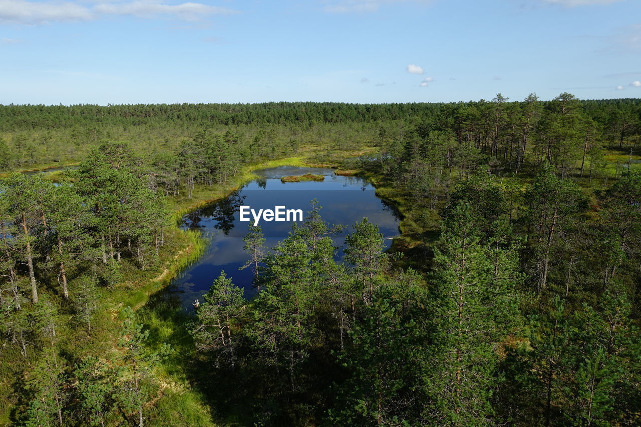 SCENIC VIEW OF GREEN LANDSCAPE